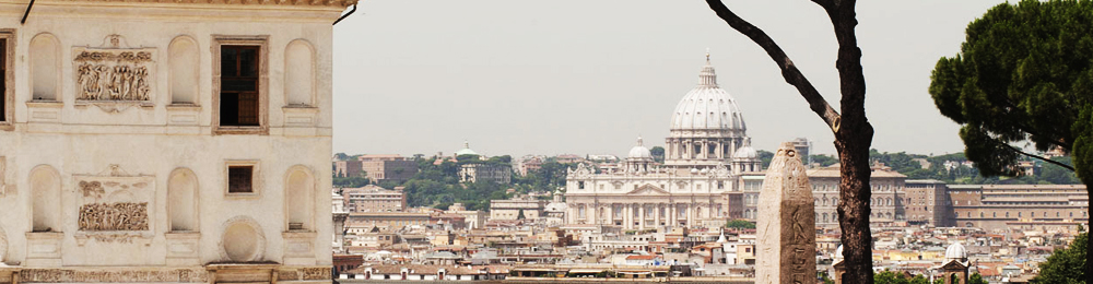 Vatican View